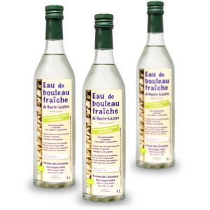 cure de bouleau